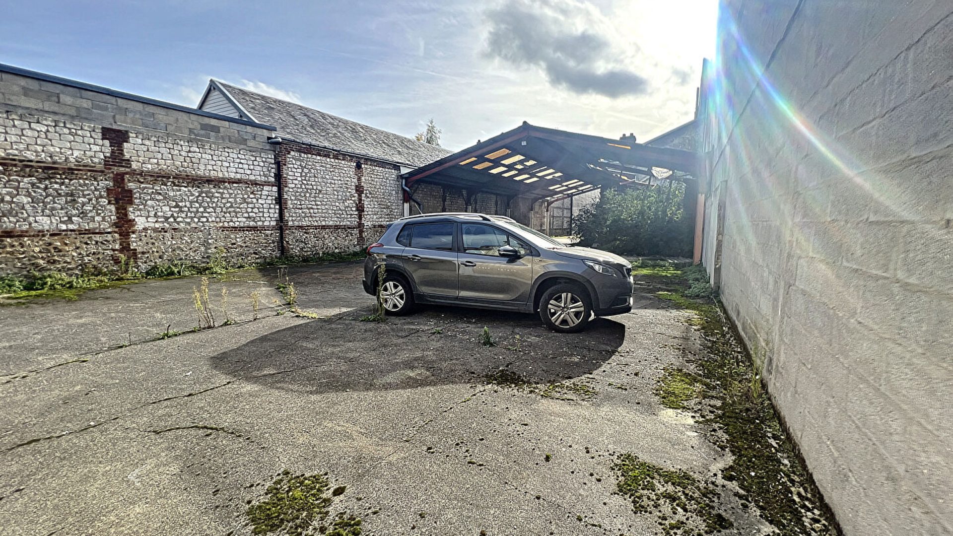 52495292-7